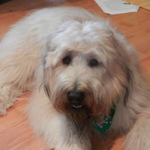 Meet your Posher, Rita